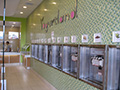 Yogurtland Frozen Yogurt Store